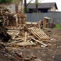 P1010020.jpg