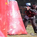 IMG_3787.JPG