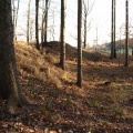 IMG_5366.JPG