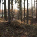 IMG_5384.JPG