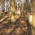 IMG_5385.JPG