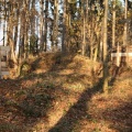 IMG_5388.JPG