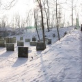 IMG_6818.JPG
