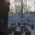 IMG_6887.JPG