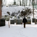 IMG_7690.JPG