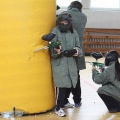 IMG_7847.JPG