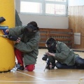 IMG_7856.JPG