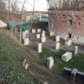 IMG_5624.JPG