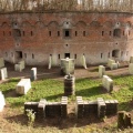 IMG_5795.JPG