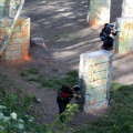 IMG_9743.JPG