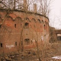 P1010005.JPG