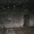 P1010007.JPG