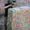 IMG_2310.JPG
