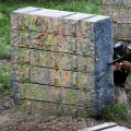 IMG_3265.JPG