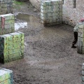IMG_3286.JPG
