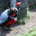 IMG_4462.JPG