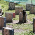 IMG_4463.JPG