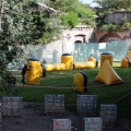 IMG_4736.JPG
