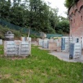 IMG_3270.JPG