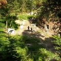 P1010015.jpg