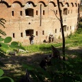 P1010017.jpg